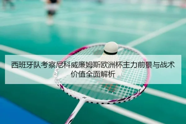 西班牙队考察尼科威廉姆斯欧洲杯主力前景与战术价值全面解析
